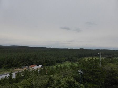 イメージ 9