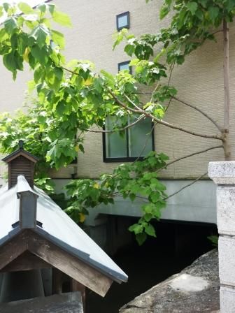 イメージ 12