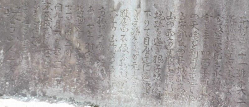 イメージ 34