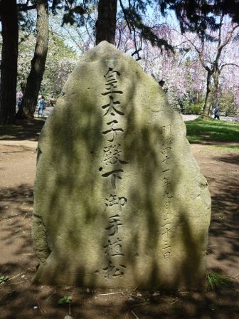 イメージ 10