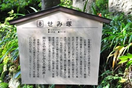 イメージ 6