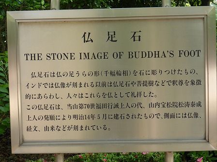 イメージ 14