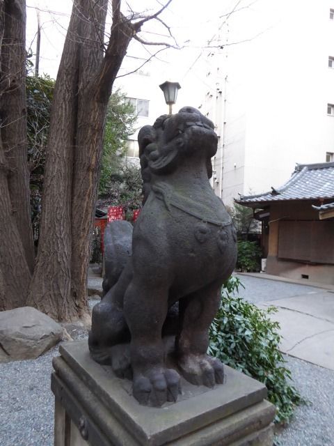 イメージ 16