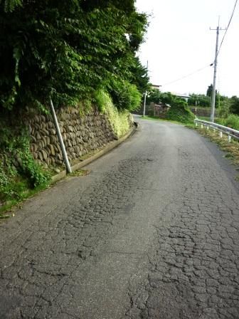 イメージ 25