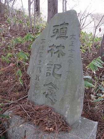 イメージ 10