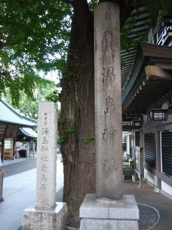 イメージ 39