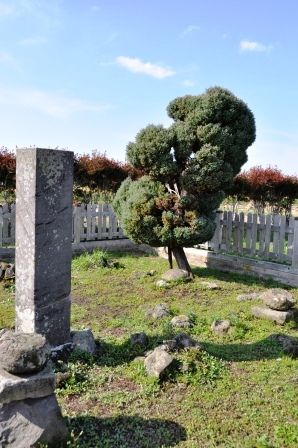 イメージ 6