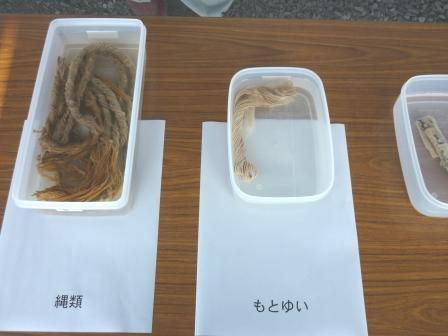 イメージ 5