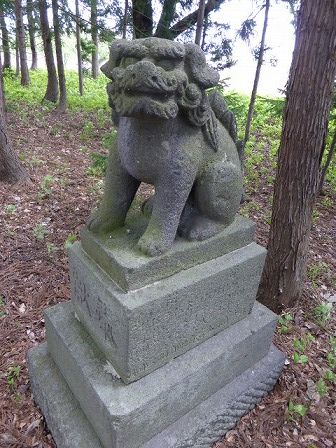 イメージ 8