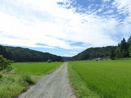 イメージ 2