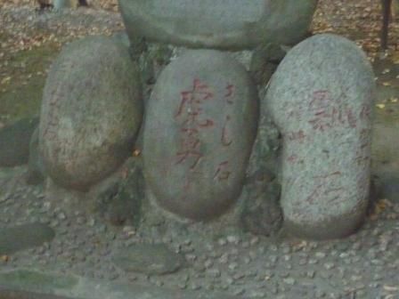 イメージ 46