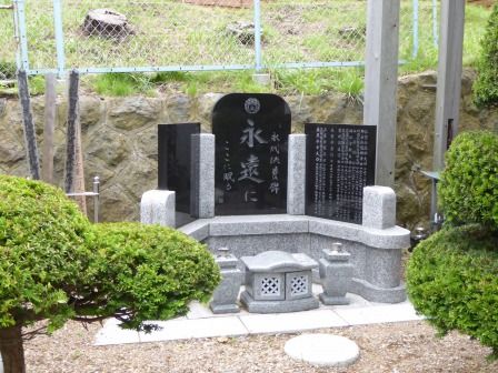 イメージ 6
