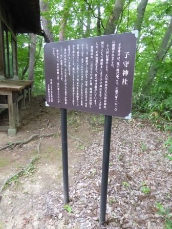 イメージ 16