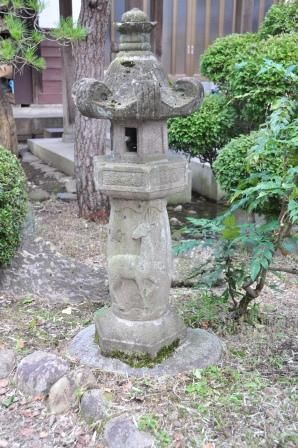 イメージ 14