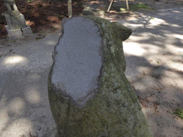 イメージ 17