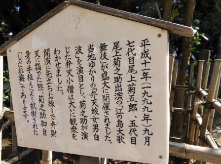 イメージ 14