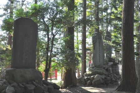 イメージ 41