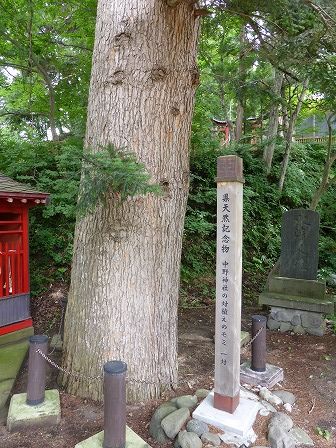 イメージ 38