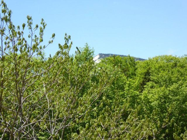 イメージ 14