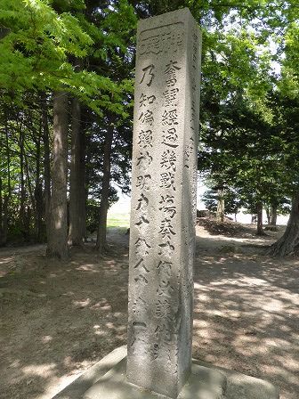 イメージ 12