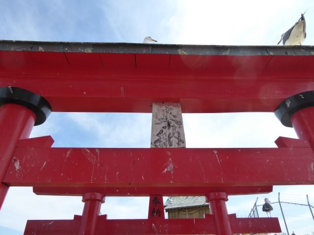 イメージ 13