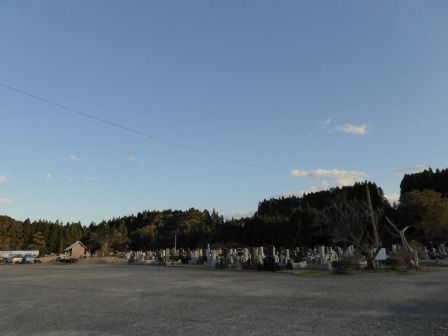 イメージ 27