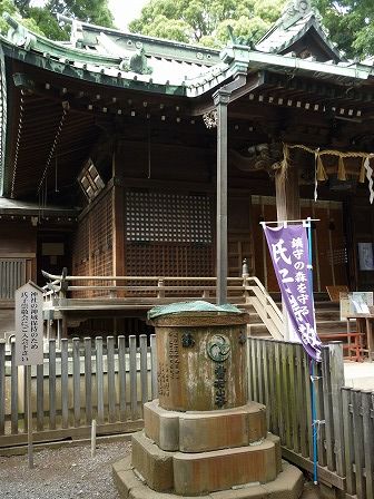 イメージ 55