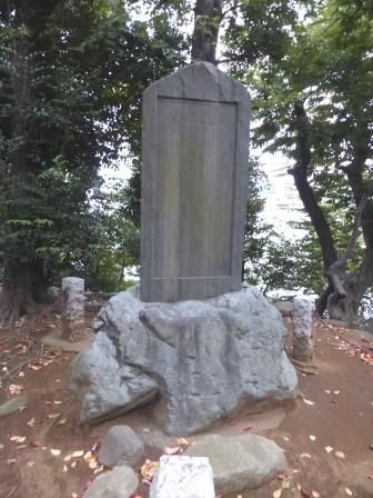 イメージ 10