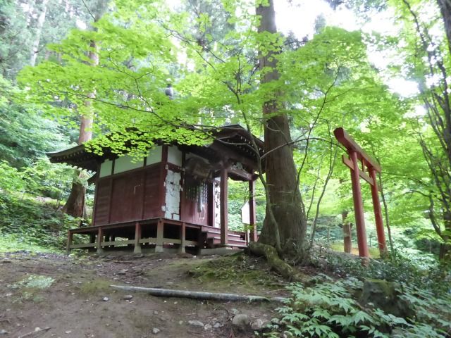 イメージ 60