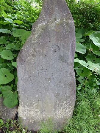 イメージ 16