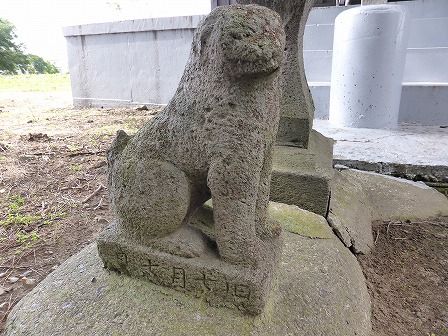 イメージ 10