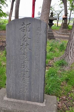 イメージ 10