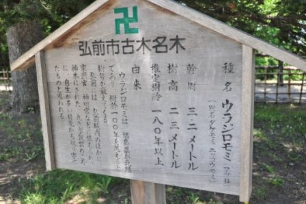 イメージ 12