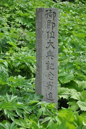イメージ 22