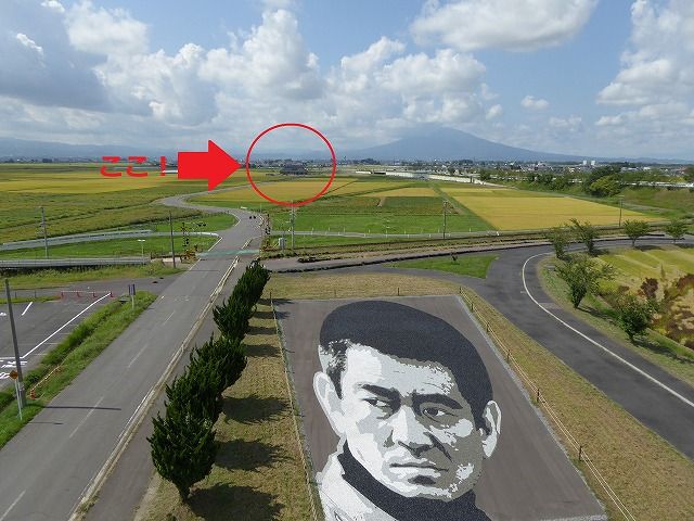 イメージ 53