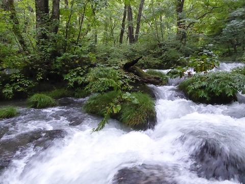 渓流 奥入瀬渓流｜新緑・紅葉・氷瀑を巡る四季の絶景トレイル – 青森県