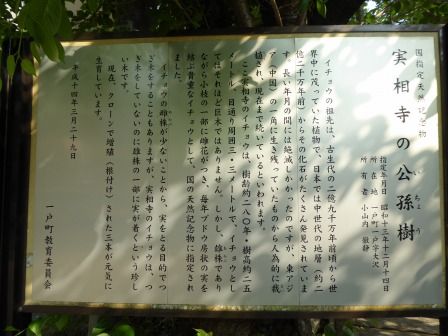 イメージ 25
