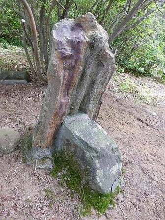 イメージ 15