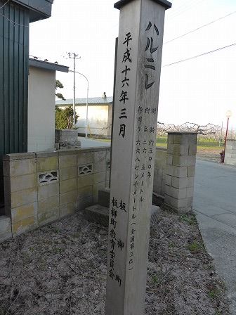 イメージ 20