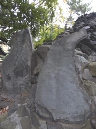 イメージ 46