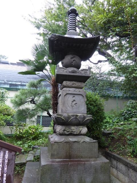イメージ 17
