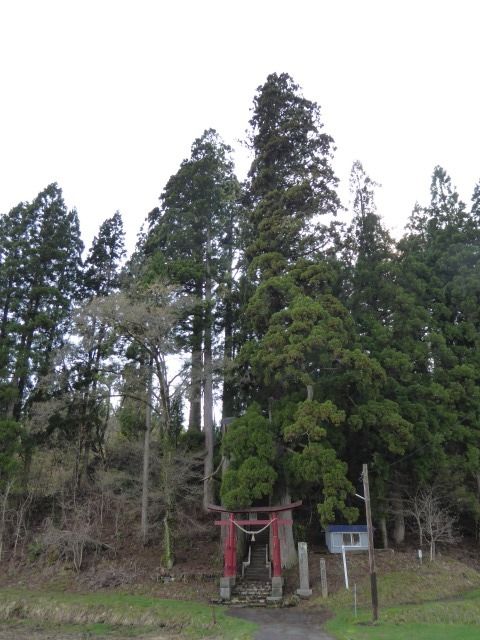 イメージ 31