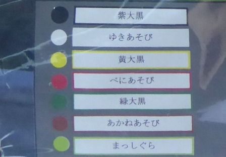 イメージ 2