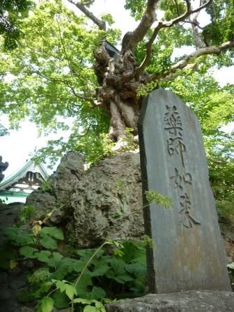 イメージ 11