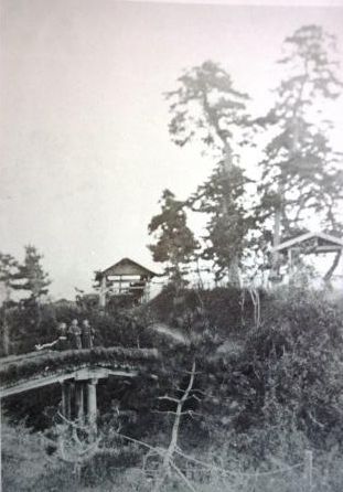 イメージ 10