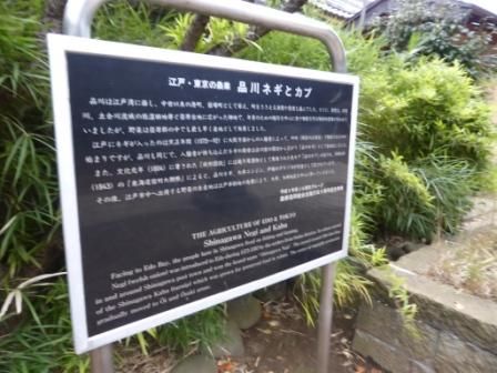 イメージ 7