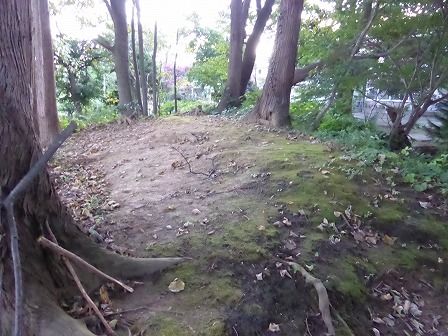 イメージ 15