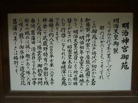 イメージ 7