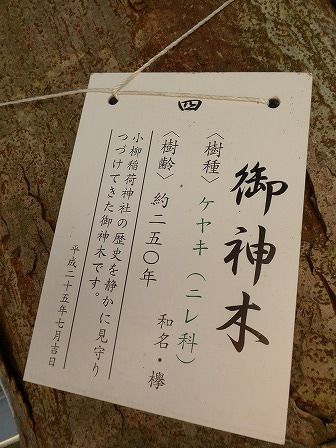 イメージ 4