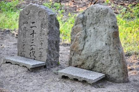 イメージ 11